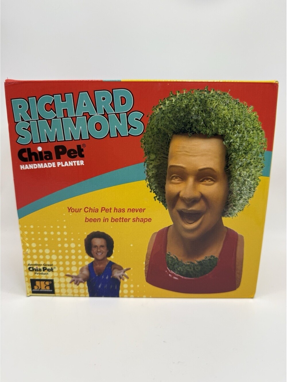 Richard Simmons Chia Pet Handmade Planter And Seed Kit Brand New Open Box